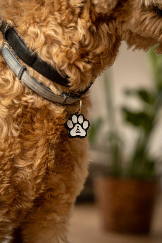 Kleiner Held I NFC Hundemarke