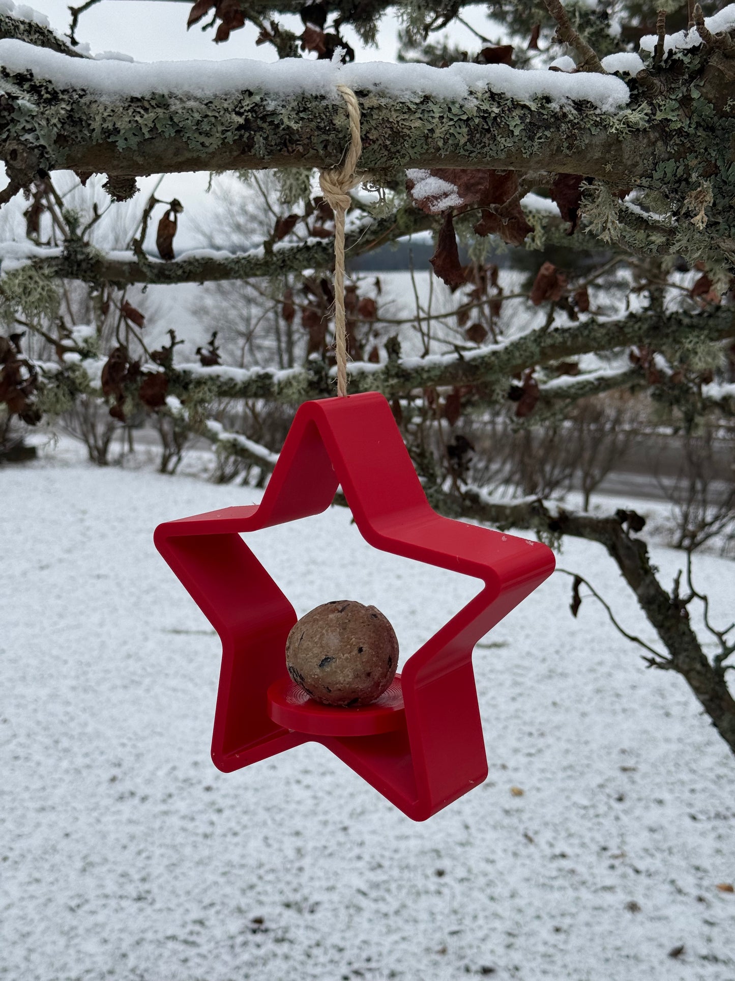 Winterliche Vogelfutterstelle in Sternform