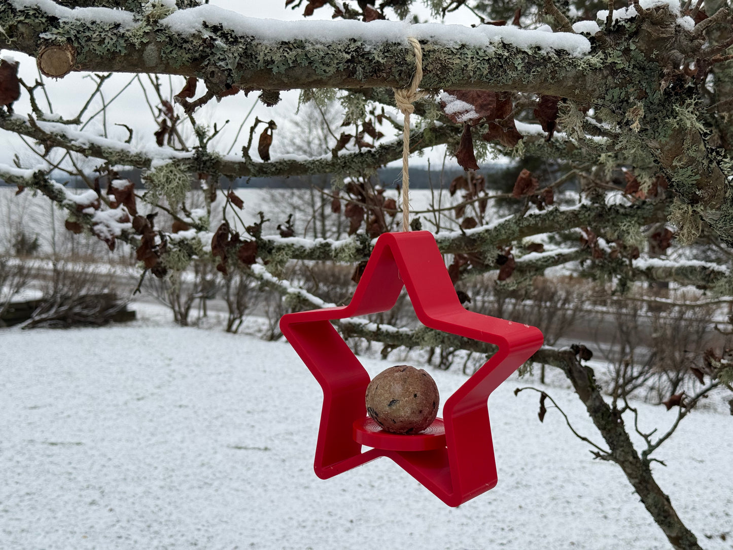 Winterliche Vogelfutterstelle in Sternform