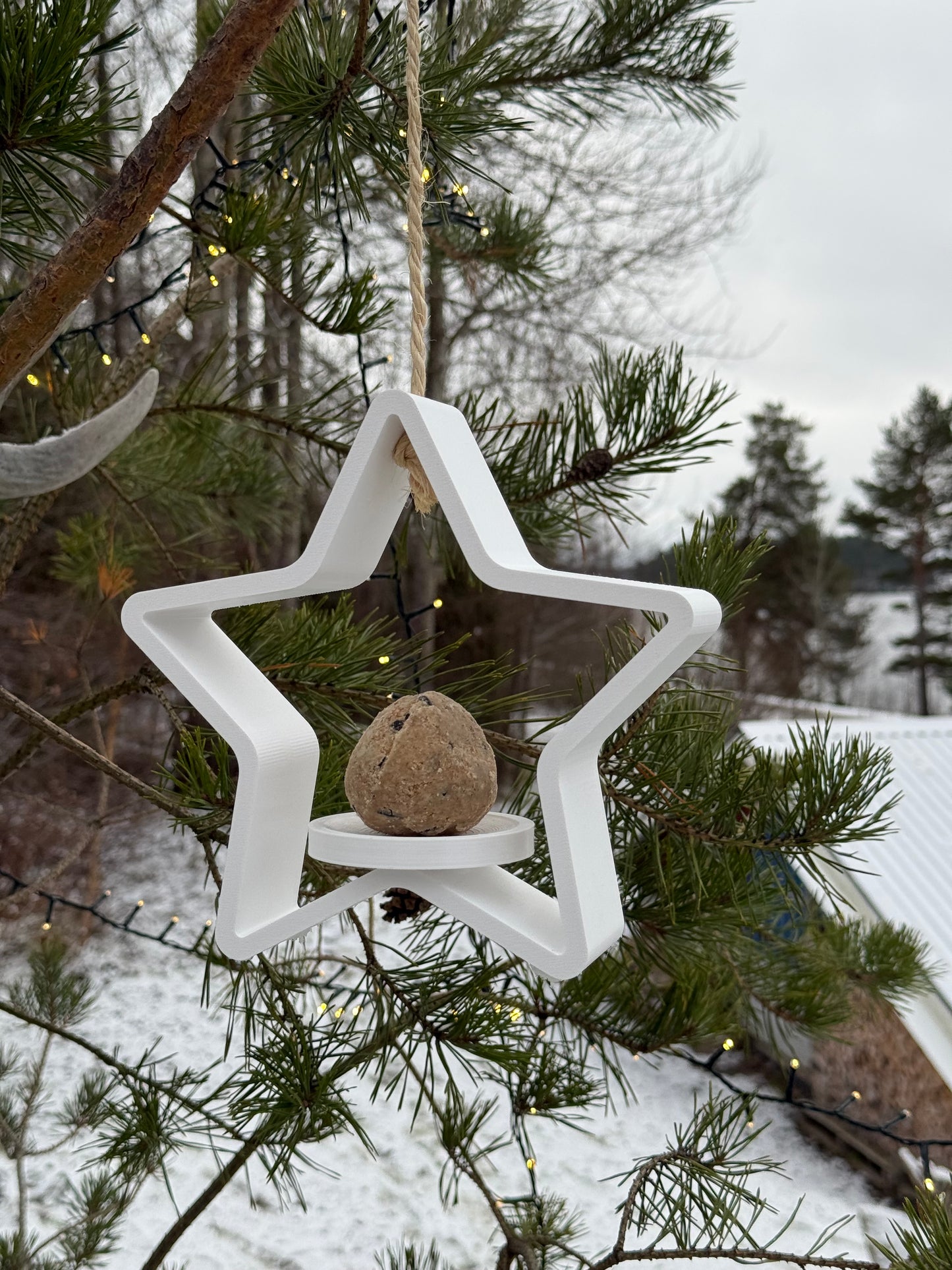 Winterliche Vogelfutterstelle in Sternform